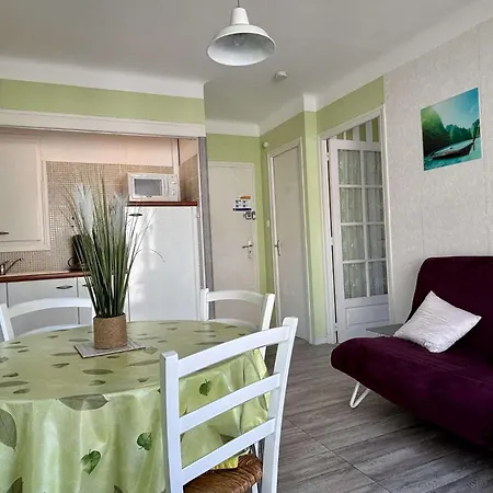 Apartmán Deux Pieces Climatise Situe Au Centre -ar110-108 Argelès-sur-Mer